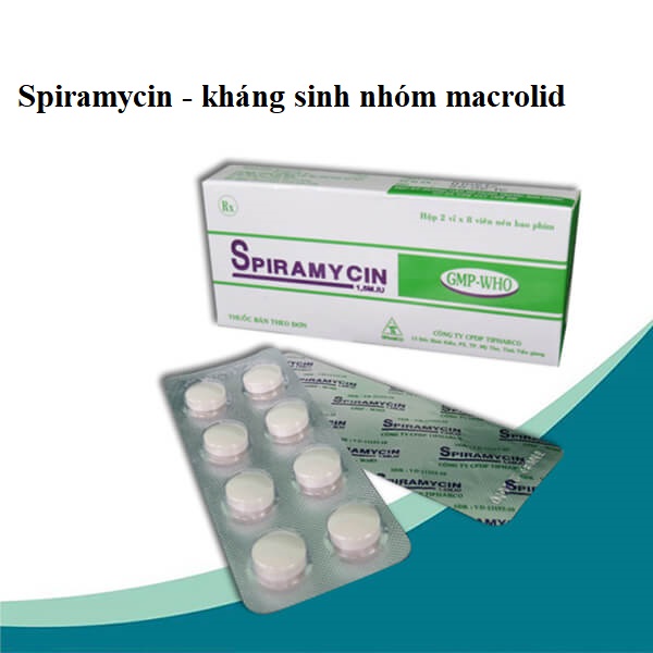 Spiramycin - kháng sinh nhóm macrolid